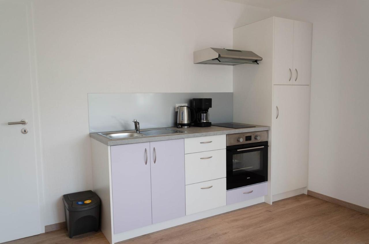 Chez Fabrice Apartman Gunstett Kültér fotó